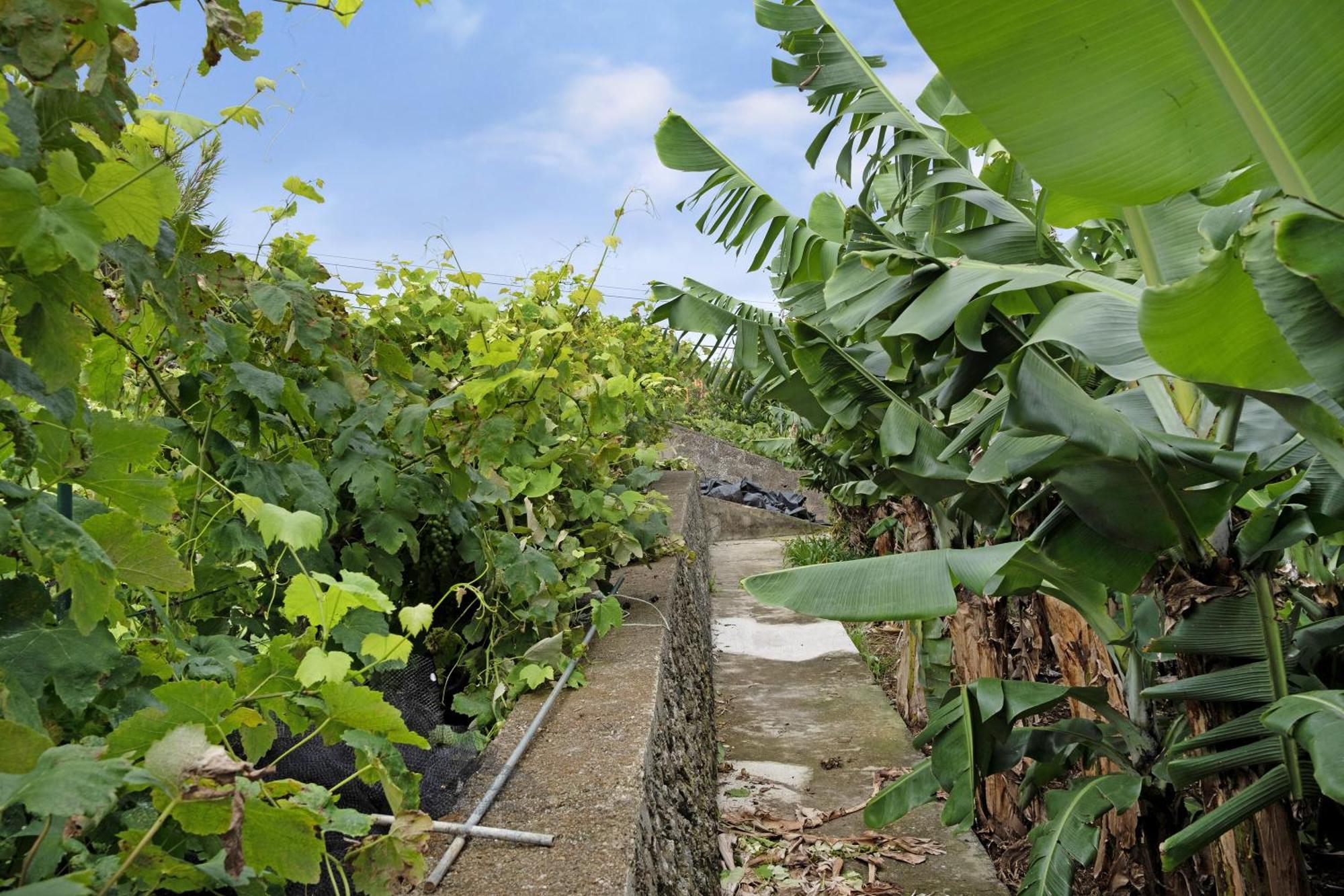 Casa Das Rosas อังกรา ดู เอโรอิสโม ภายนอก รูปภาพ